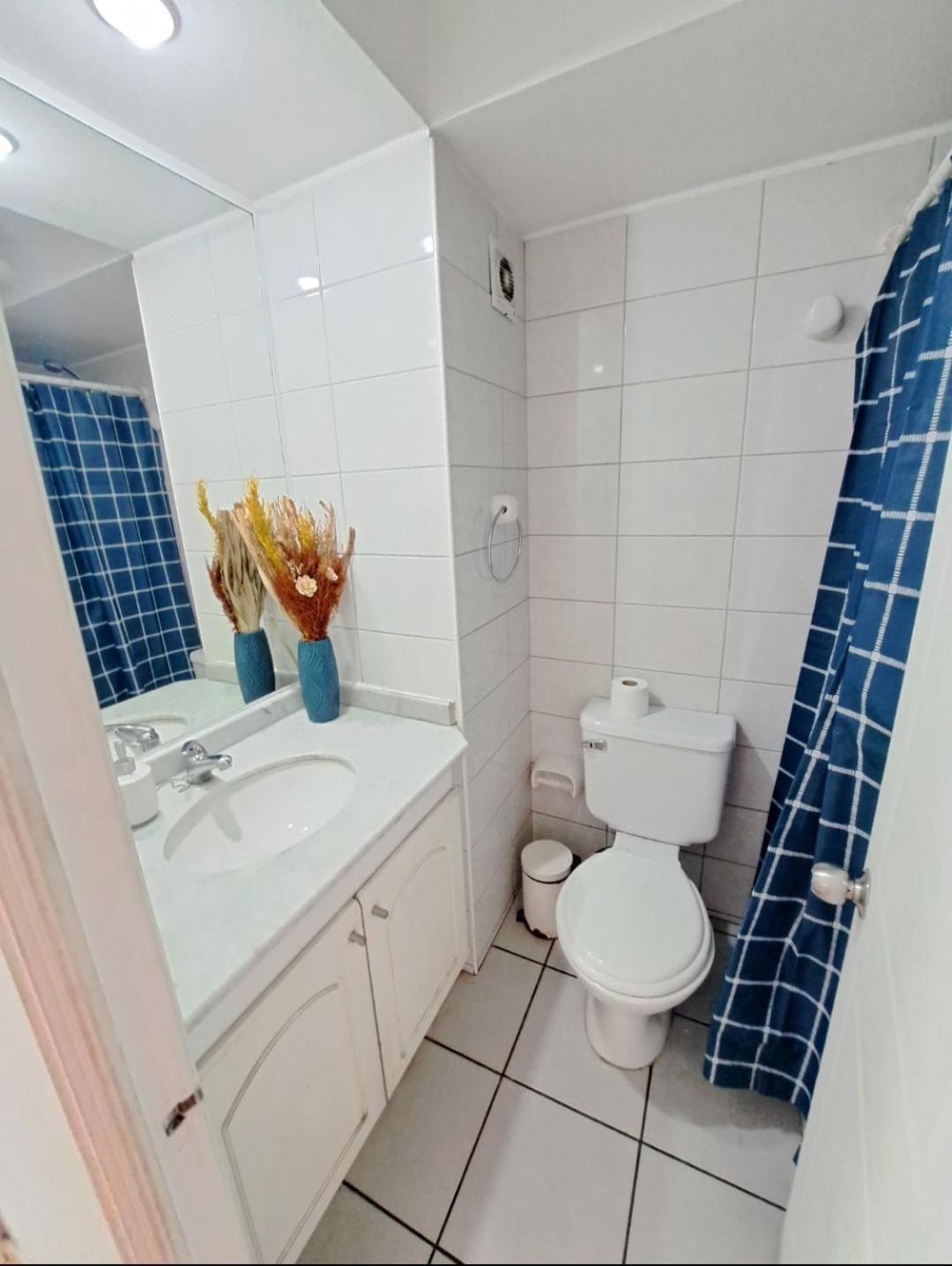 Depto Moneda Lord Cochrane Comodo Apartamento Santiago